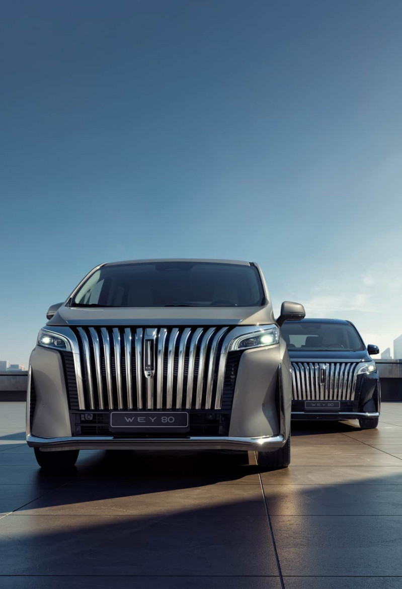 Новый автомобиль Wey 80 — 7