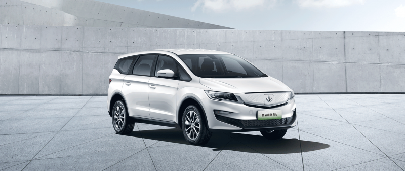 Автомобиль Livan 80v — 9