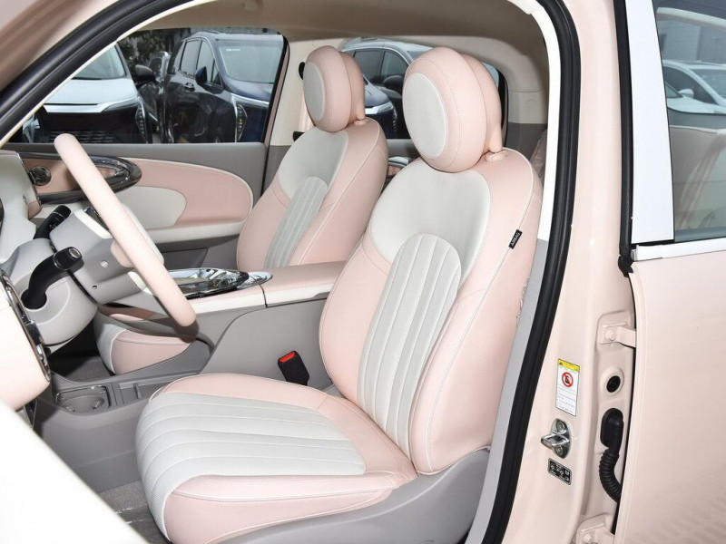 Новый автомобиль Ora Ballet cat — 14