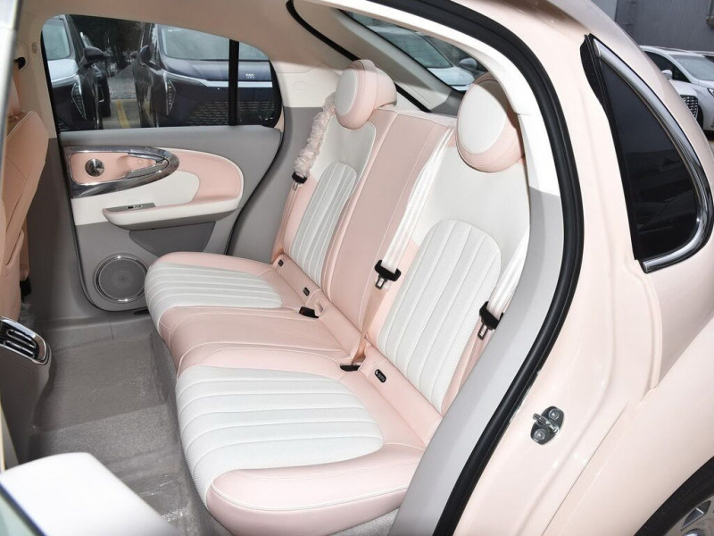 Новый автомобиль Ora Ballet cat — 16