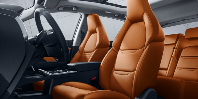 Новый автомобиль Wm motor Ex5-z