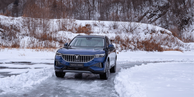 Новый автомобиль Voyah Free