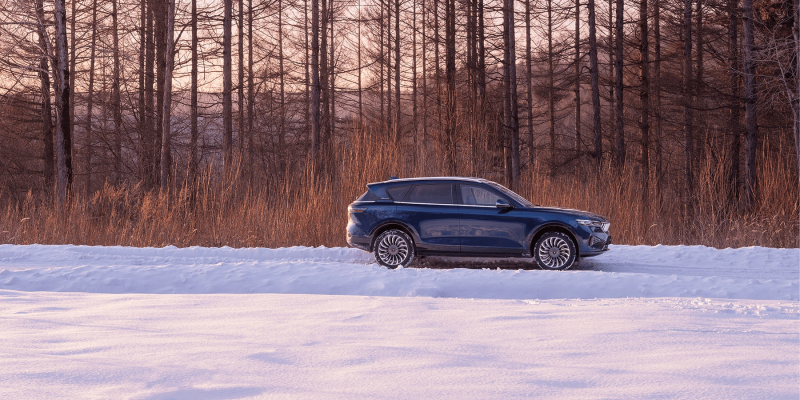 Новый автомобиль Voyah Free — 17