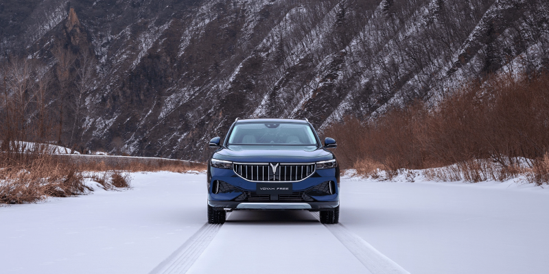 Новый автомобиль Voyah Free — 11