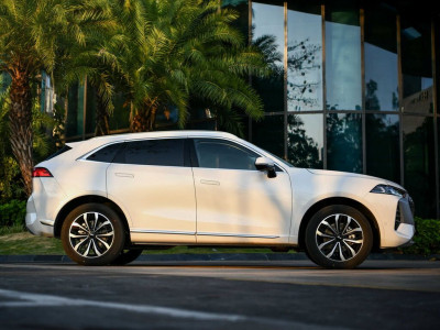 Новый автомобиль Wey Mocha