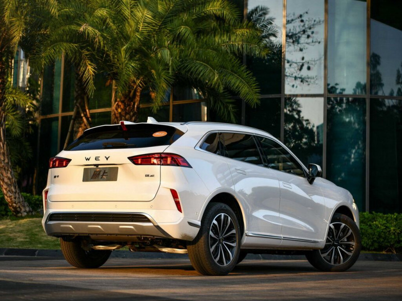 Новый автомобиль Wey Mocha — 14