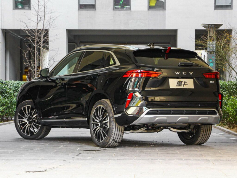 Новый автомобиль Wey Mocha — 16