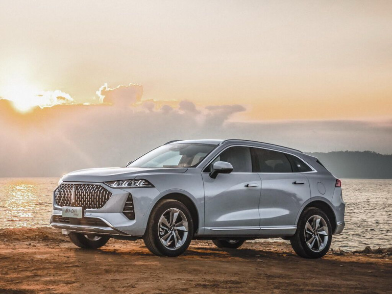 Новый автомобиль Wey Mocha — 18