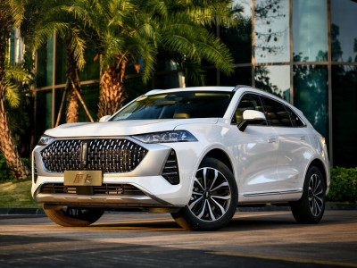 Новый автомобиль Wey Mocha