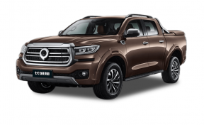 Новый автомобиль Great wall Passenger gun