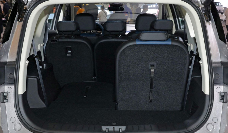 Новый автомобиль Livan Rl9 — 11