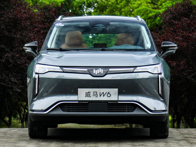 Новый автомобиль Wm motor W6 — 19