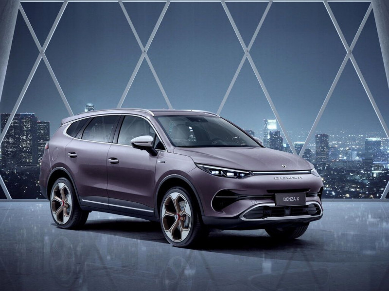 Автомобиль Denza X — 11