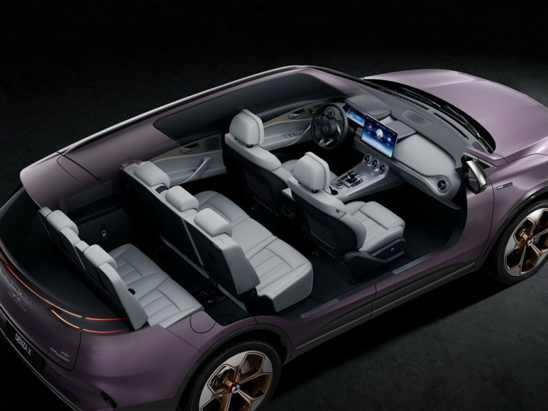 Автомобиль Denza X — 16