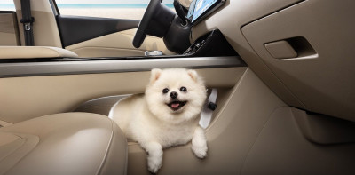 Новый автомобиль Wuling Xingguang