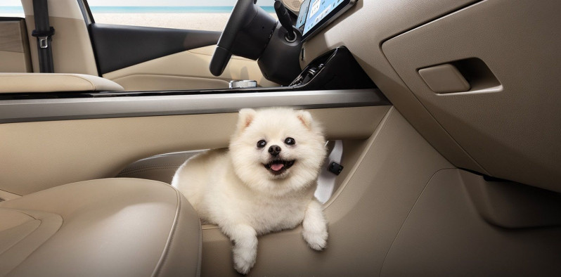 Новый автомобиль Wuling Xingguang — 10